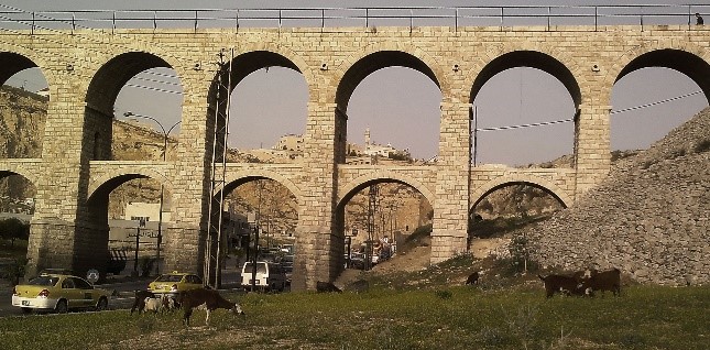 صورة
